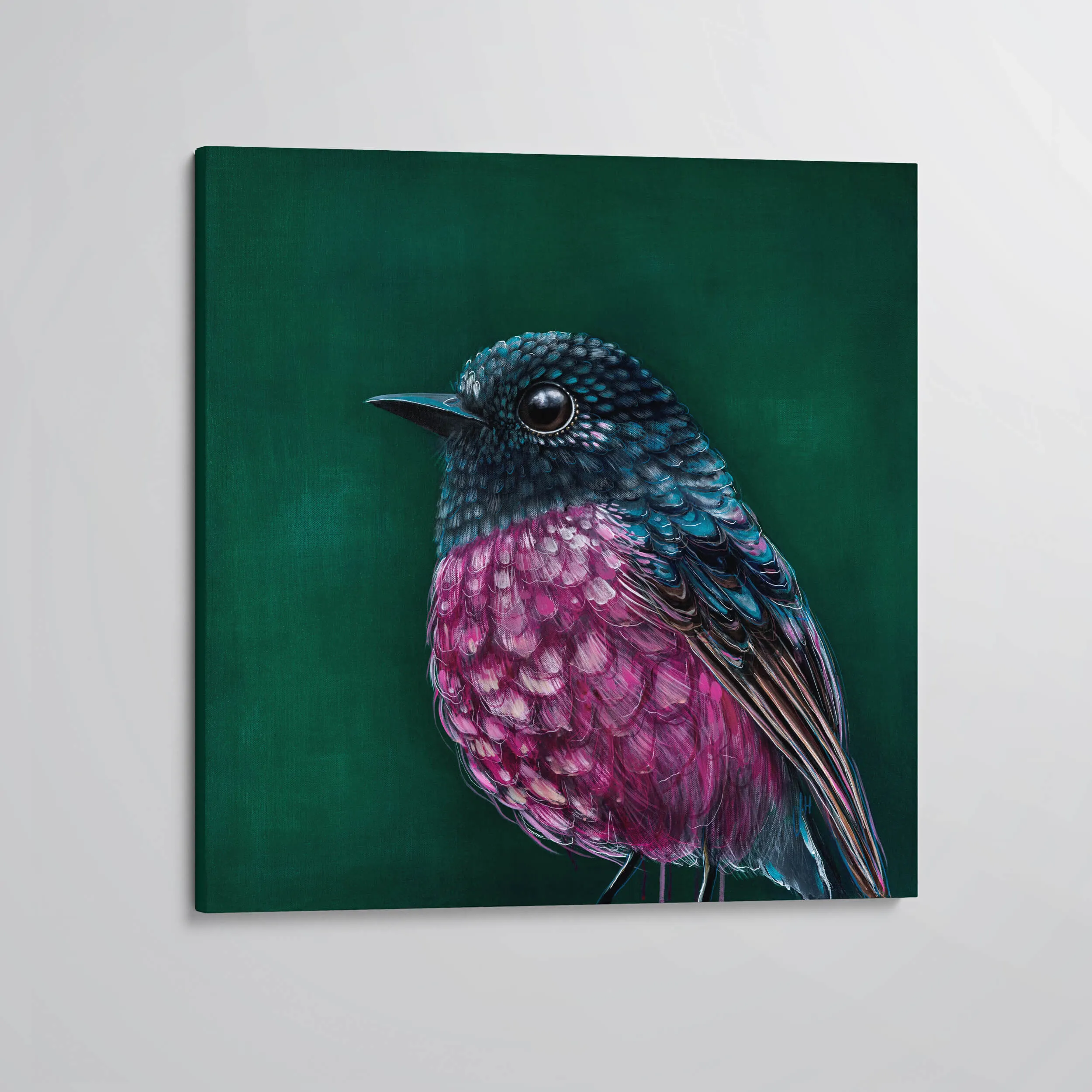 Fletcher Pink Robin canvas print