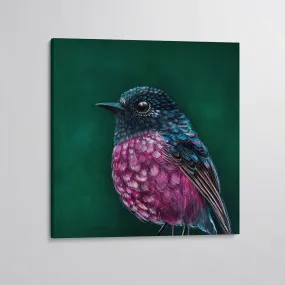 Fletcher Pink Robin canvas print