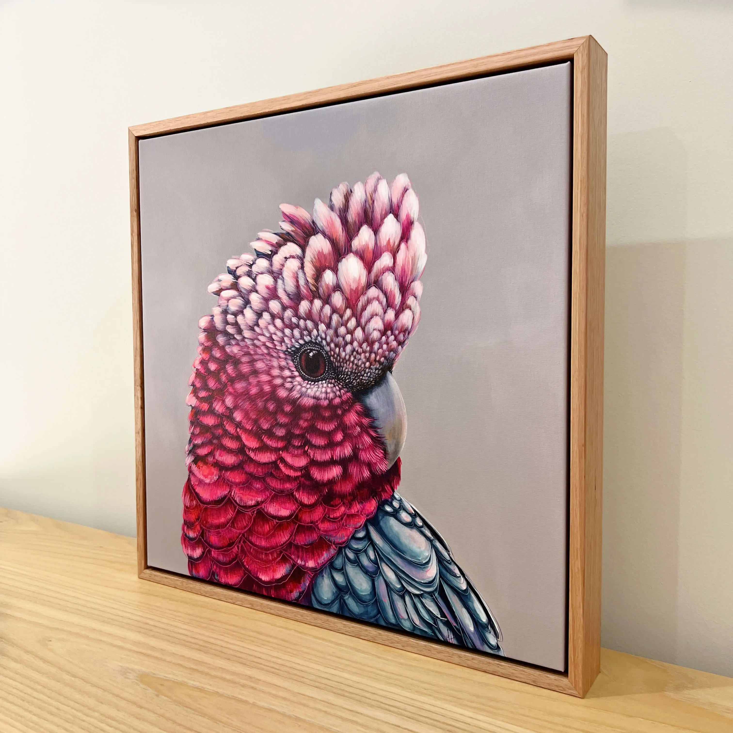 Penelope Galah canvas print