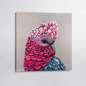 Penelope Galah canvas print