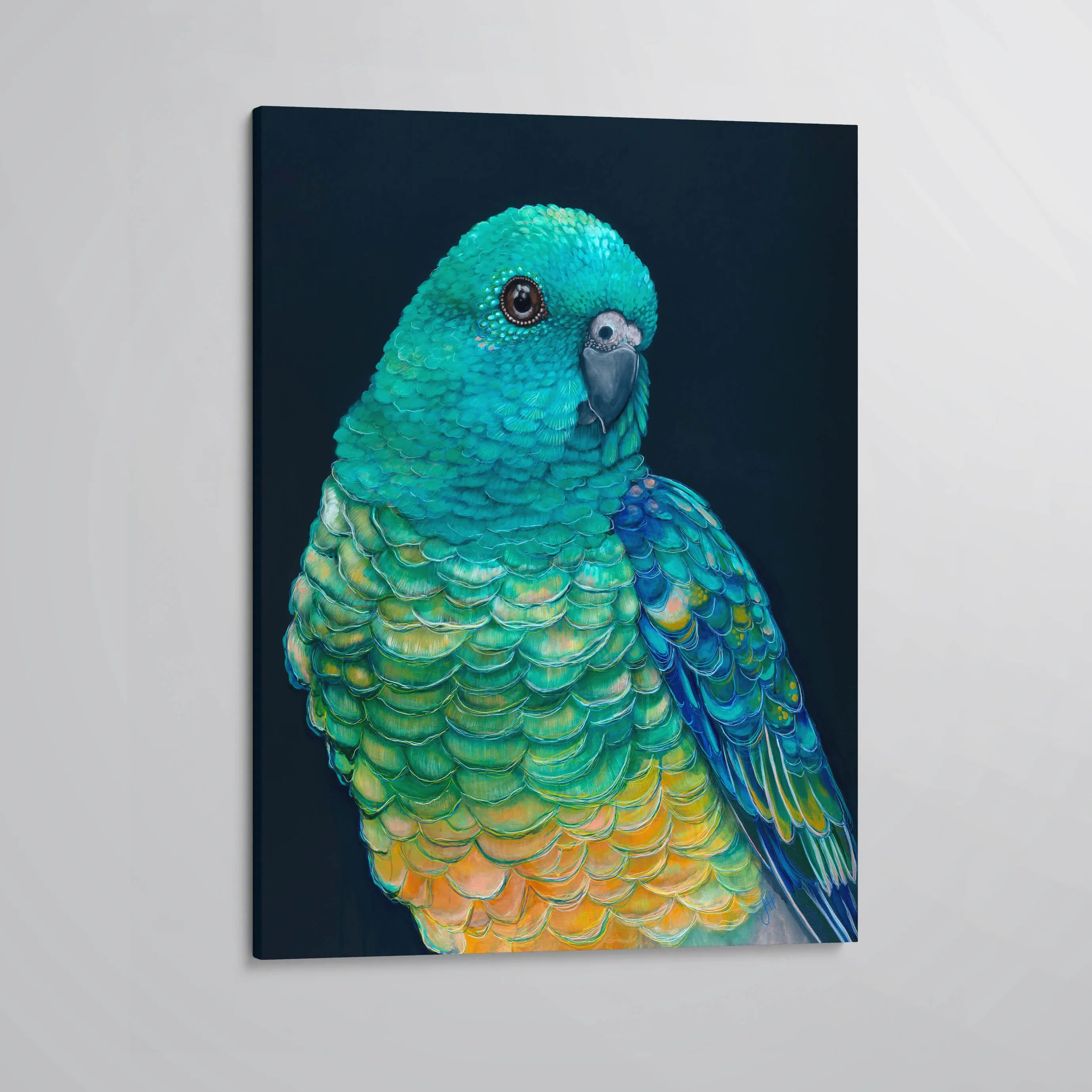 Red Rumped Parrot canvas print - 'Banjo' - Buy Now