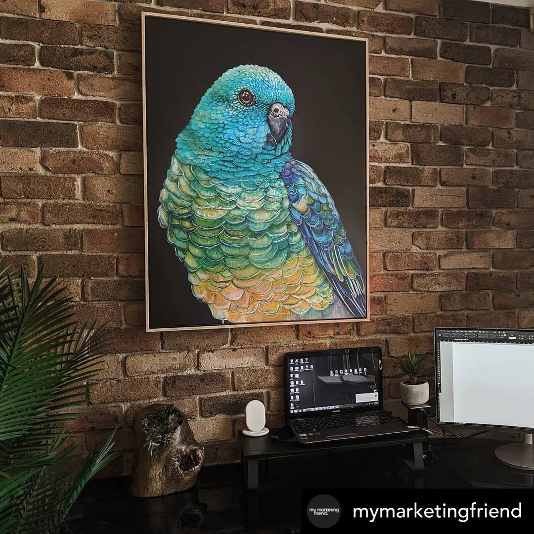 Red Rumped Parrot canvas print - 'Banjo' - Buy Now