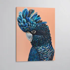 Red Tailed Black Cockatoo Canvas Print - Jarrah