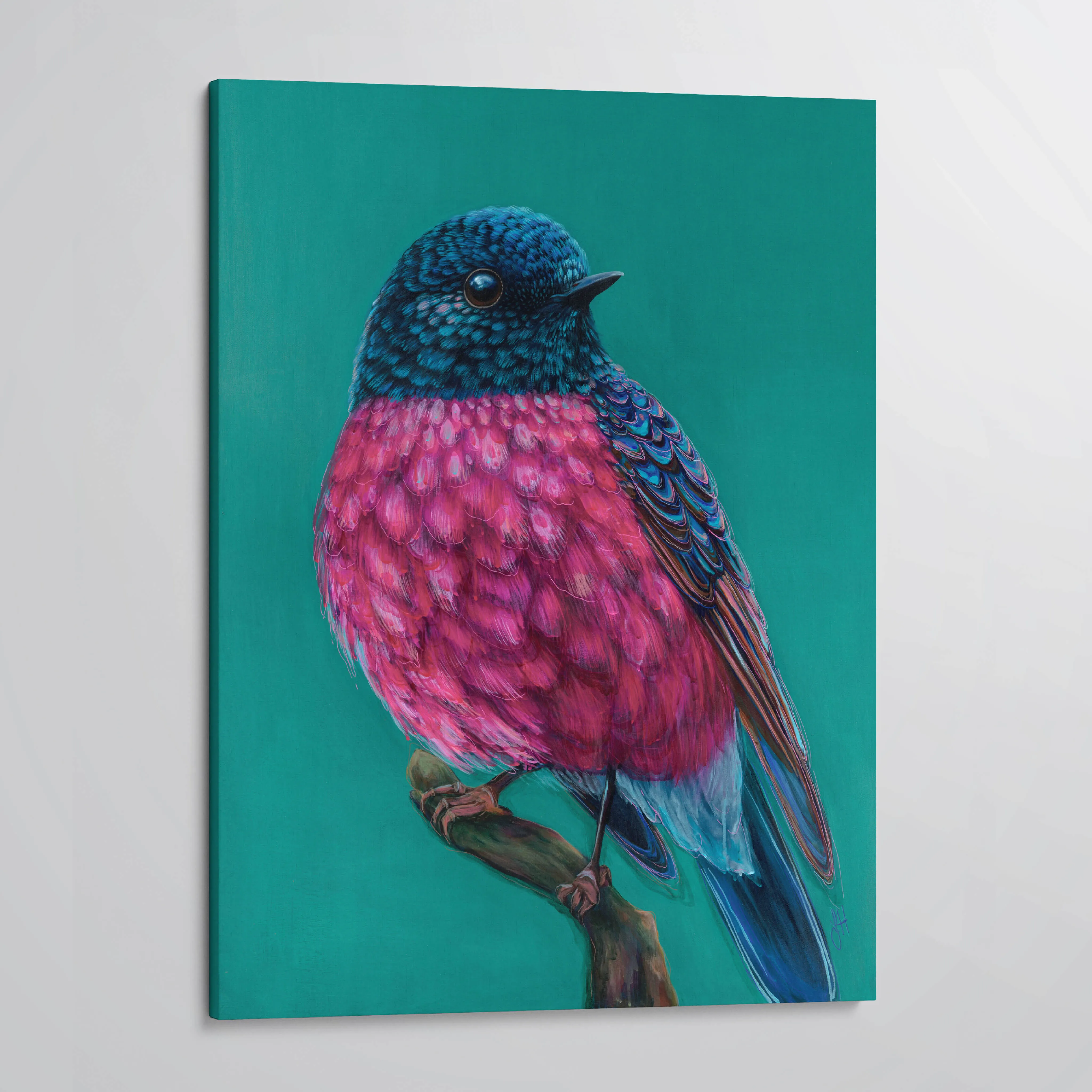 Roy Pink Robin canvas print