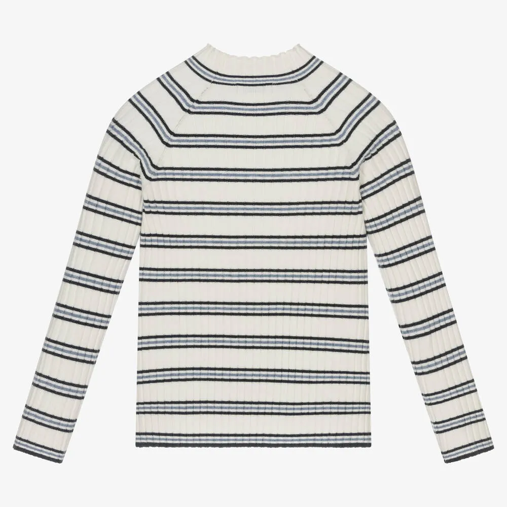 Stripe Turtle Neck Sweater