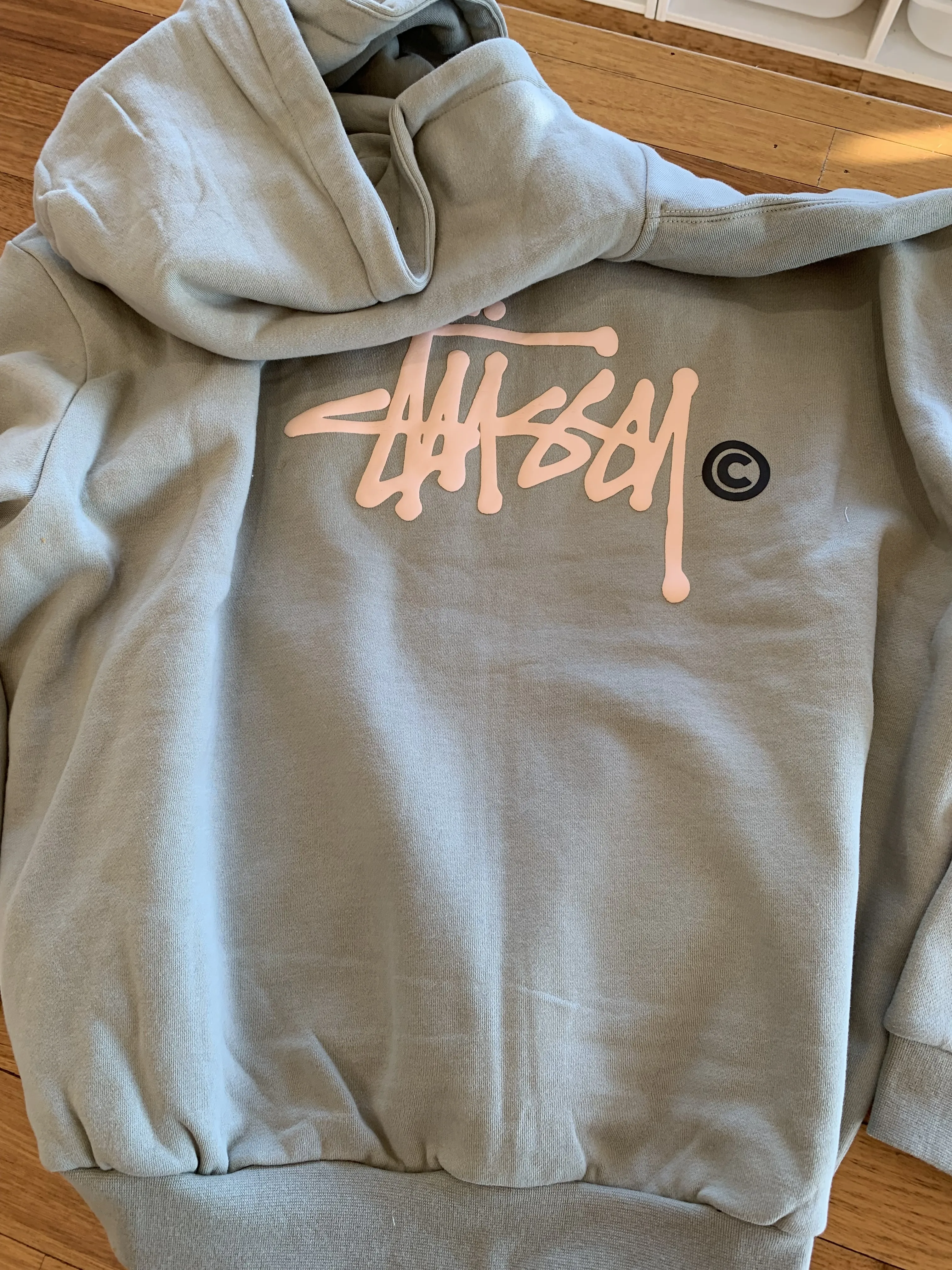 Stussy Long Sleeves Logo Skater Style